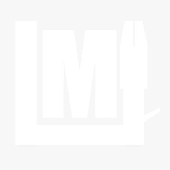 light logo